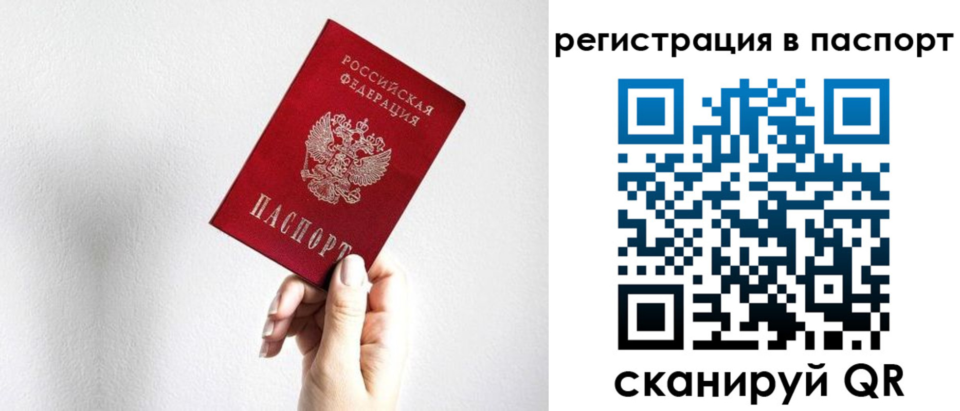 прописка законно в Димитровграде
